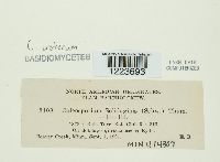 Image Associated With the Occurrence