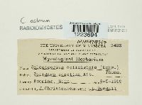 Image Associated With the Occurrence