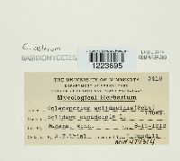 Image Associated With the Occurrence