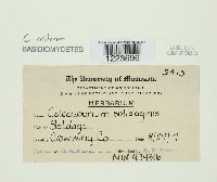 Image Associated With the Occurrence