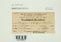 Image Associated With the Occurrence