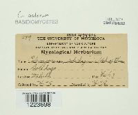 Image Associated With the Occurrence