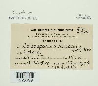 Image Associated With the Occurrence