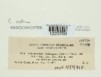 Image Associated With the Occurrence