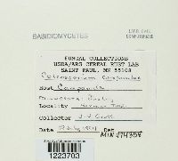 Image Associated With the Occurrence