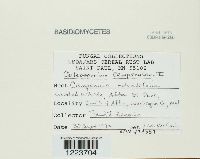 Image Associated With the Occurrence