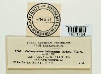 Image Associated With the Occurrence