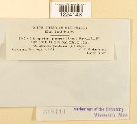 Image Associated With the Occurrence