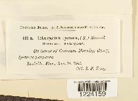 Image Associated With the Occurrence