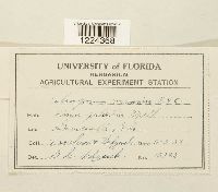 Coleosporium vernoniae image