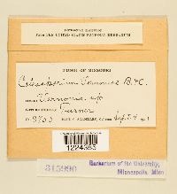 Image Associated With the Occurrence