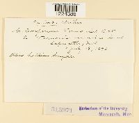 Coleosporium vernoniae image