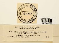 Coleosporium vernoniae image