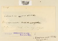 Image Associated With the Occurrence