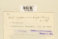 Image Associated With the Occurrence