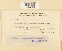 Image Associated With the Occurrence