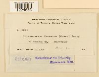 Image Associated With the Occurrence