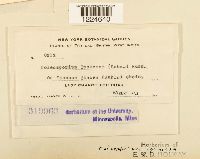 Image Associated With the Occurrence