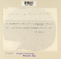 Image Associated With the Occurrence