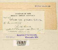 Image Associated With the Occurrence