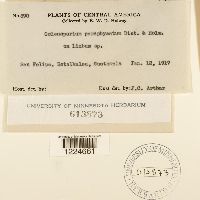 Image Associated With the Occurrence