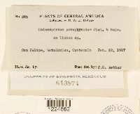 Image Associated With the Occurrence