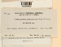 Image Associated With the Occurrence