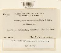 Image Associated With the Occurrence