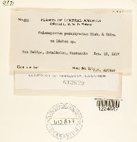 Image Associated With the Occurrence