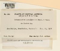 Image Associated With the Occurrence