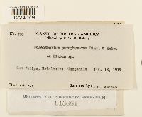 Image Associated With the Occurrence