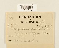 Image Associated With the Occurrence