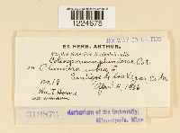 Image Associated With the Occurrence