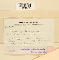 Image Associated With the Occurrence