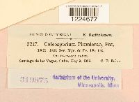 Image Associated With the Occurrence