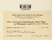 Image Associated With the Occurrence