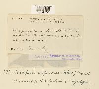 Image Associated With the Occurrence