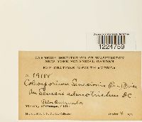 Image Associated With the Occurrence