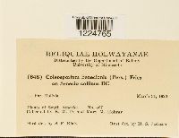 Image Associated With the Occurrence