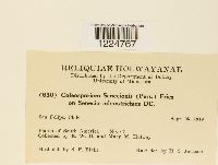 Image Associated With the Occurrence