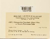 Image Associated With the Occurrence