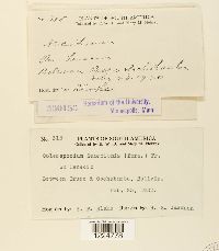 Image Associated With the Occurrence