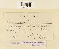 thumbnail image of current specimen