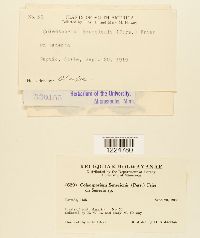 Image Associated With the Occurrence