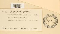 thumbnail image of current specimen