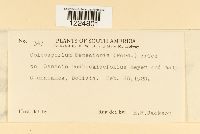 Image Associated With the Occurrence