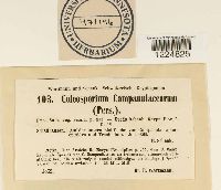 Image Associated With the Occurrence