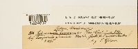thumbnail image of current specimen