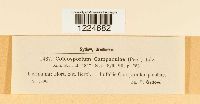 thumbnail image of current specimen