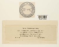 thumbnail image of current specimen